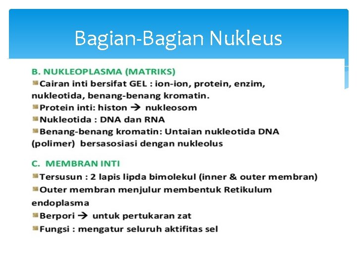 Bagian-Bagian Nukleus 
