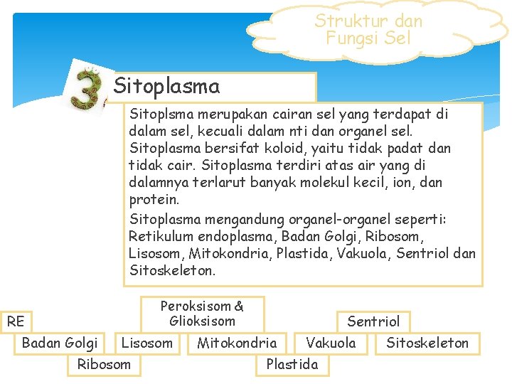 Struktur dan Fungsi Sel Sitoplasma Sitoplsma merupakan cairan sel yang terdapat di dalam sel,