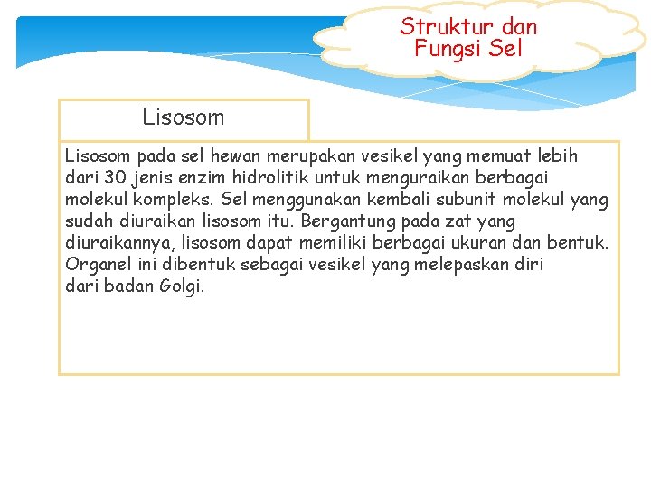 Struktur dan Fungsi Sel Lisosom pada sel hewan merupakan vesikel yang memuat lebih dari