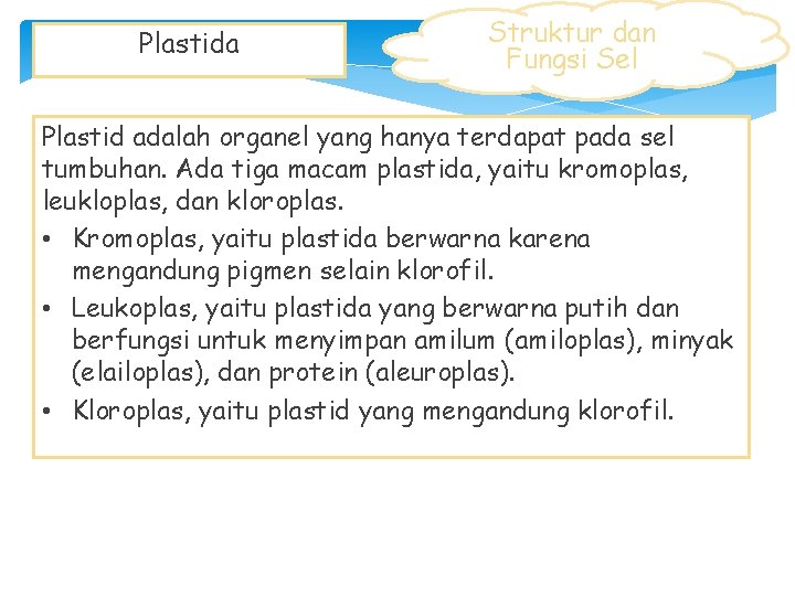 Plastida Struktur dan Fungsi Sel Plastid adalah organel yang hanya terdapat pada sel tumbuhan.