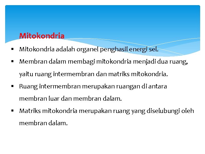 Mitokondria § Mitokondria adalah organel penghasil energi sel. § Membran dalam membagi mitokondria menjadi