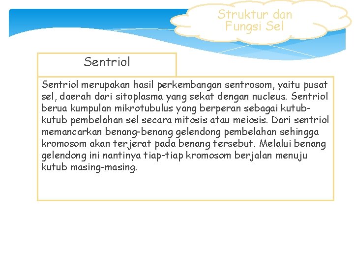 Struktur dan Fungsi Sel Sentriol merupakan hasil perkembangan sentrosom, yaitu pusat sel, daerah dari