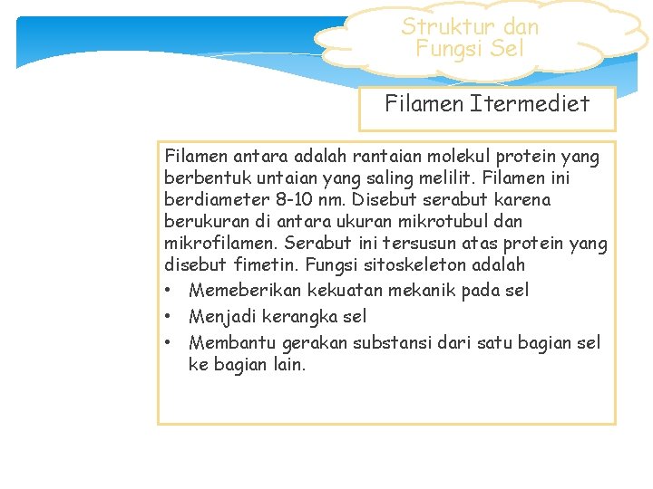 Struktur dan Fungsi Sel Filamen Itermediet Filamen antara adalah rantaian molekul protein yang berbentuk