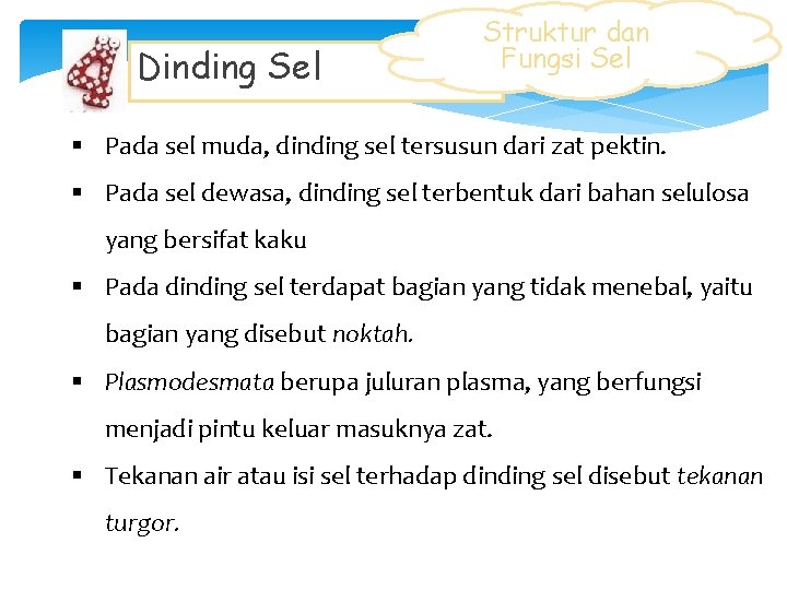 Dinding Sel Struktur dan Fungsi Sel § Pada sel muda, dinding sel tersusun dari