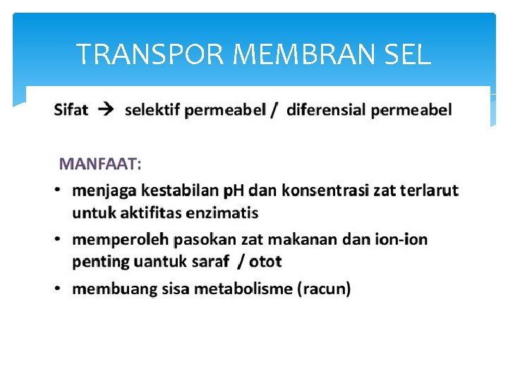 TRANSPOR MEMBRAN SEL 