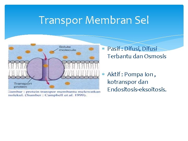 Transpor Membran Sel Pasif : Difusi, Difusi Terbantu dan Osmosis Aktif : Pompa Ion