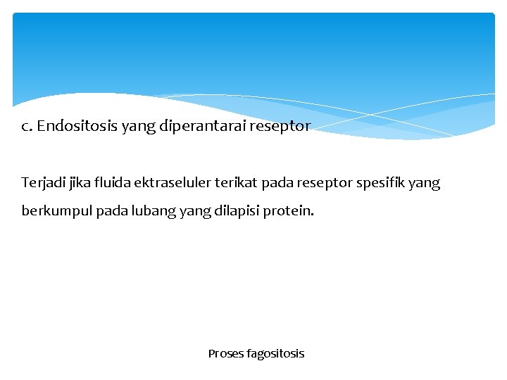 c. Endositosis yang diperantarai reseptor Terjadi jika fluida ektraseluler terikat pada reseptor spesifik yang