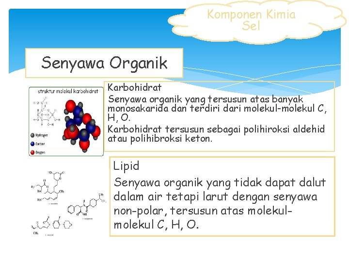 Komponen Kimia Sel Senyawa Organik Karbohidrat Senyawa organik yang tersusun atas banyak monosakarida dan