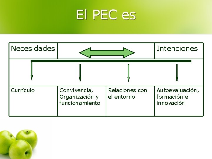 El PEC es Necesidades Currículo Intenciones Convivencia, Organización y funcionamiento Relaciones con el entorno