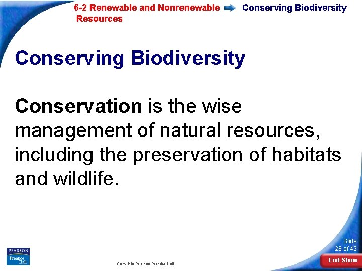 6 -2 Renewable and Nonrenewable Resources Conserving Biodiversity Conservation is the wise management of