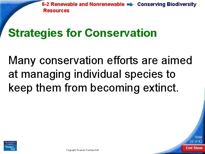 6 -2 Renewable and Nonrenewable Resources Conserving Biodiversity Strategies for Conservation Many conservation efforts