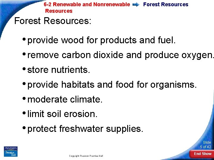 6 -2 Renewable and Nonrenewable Resources Forest Resources: • provide wood for products and