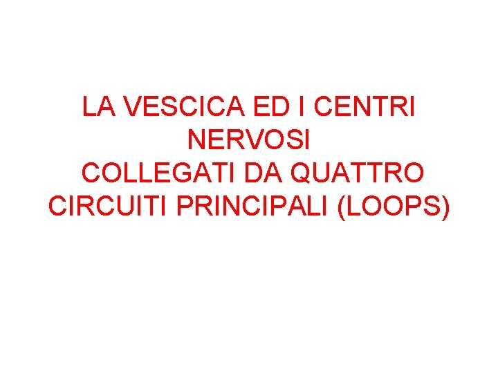 LA VESCICA ED I CENTRI NERVOSI COLLEGATI DA QUATTRO CIRCUITI PRINCIPALI (LOOPS) 