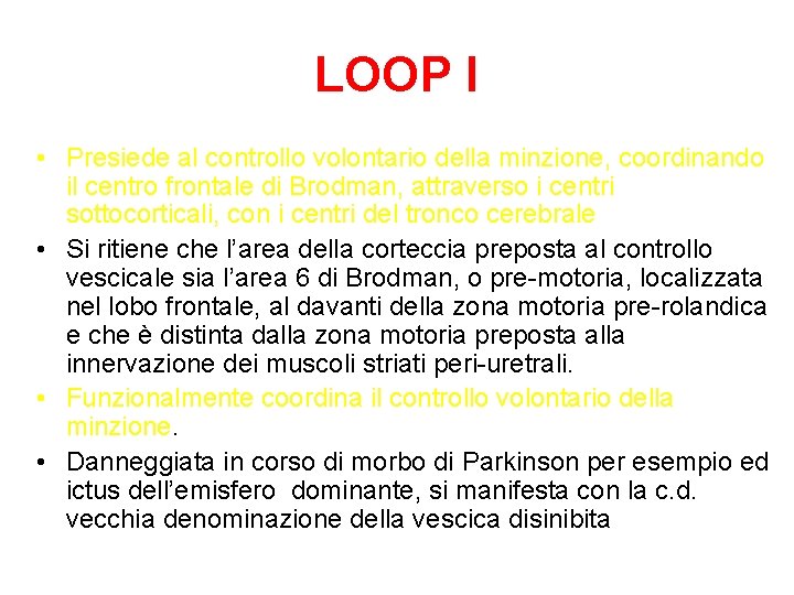 LOOP I • Presiede al controllo volontario della minzione, coordinando il centro frontale di