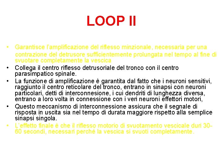 LOOP II • Garantisce l’amplificazione del riflesso minzionale, necessaria per una contrazione del detrusore