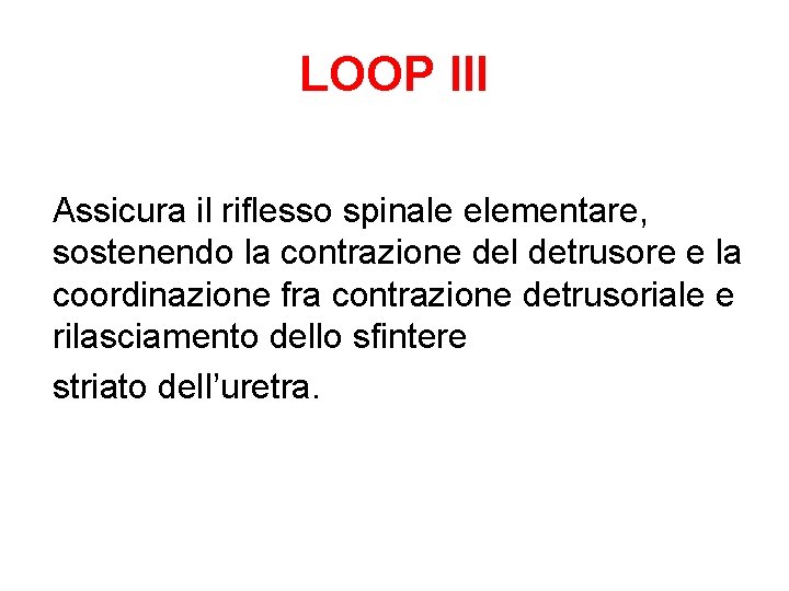 LOOP III Assicura il riflesso spinale elementare, sostenendo la contrazione del detrusore e la