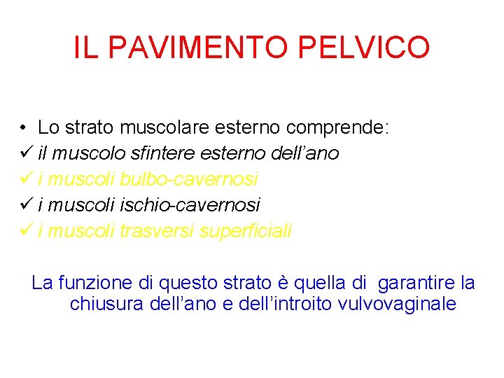 IL PAVIMENTO PELVICO • Lo strato muscolare esterno comprende: ü il muscolo sfintere esterno