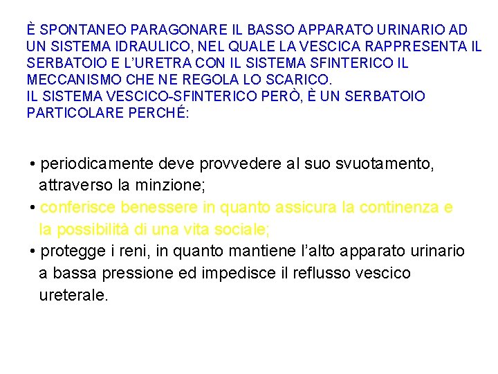 È SPONTANEO PARAGONARE IL BASSO APPARATO URINARIO AD UN SISTEMA IDRAULICO, NEL QUALE LA