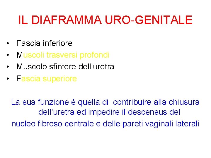 IL DIAFRAMMA URO-GENITALE • • Fascia inferiore Muscoli trasversi profondi Muscolo sfintere dell’uretra Fascia