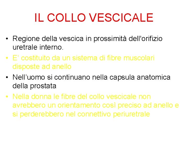 IL COLLO VESCICALE • Regione della vescica in prossimità dell'orifizio uretrale interno. • E’