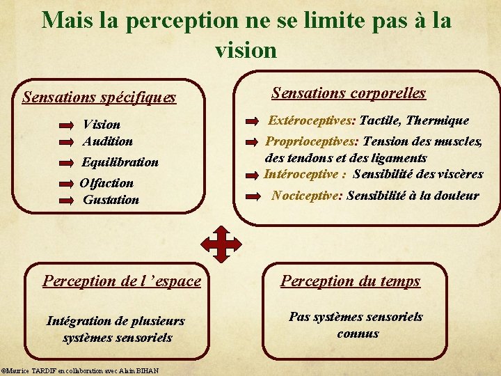 Mais la perception ne se limite pas à la vision Sensations spécifiques Vision Audition