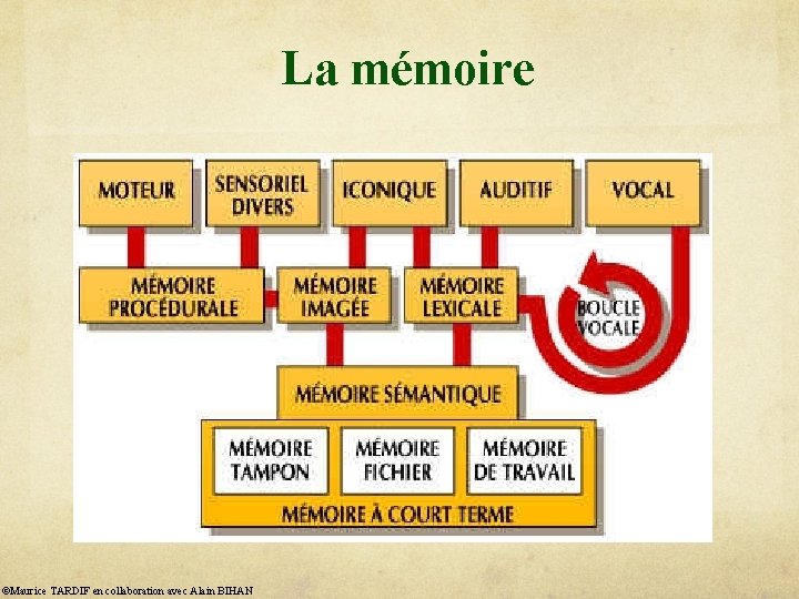 La mémoire ©Maurice TARDIF en collaboration avec Alain BIHAN 