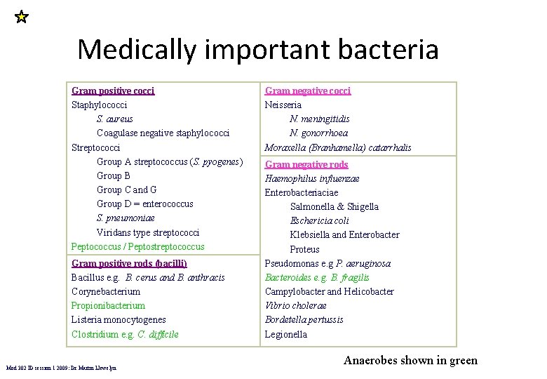 Medically important bacteria Gram positive cocci Staphylococci S. aureus Coagulase negative staphylococci Streptococci Group