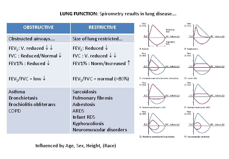 LUNG FUNCTION: Spirometry results in lung disease…. OBSTRUCTIVE RESTRICTIVE Obstructed airways…. Size of lung