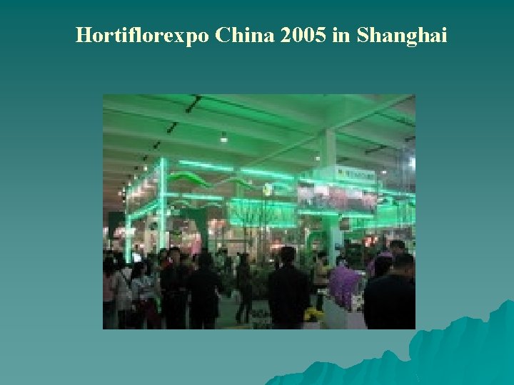Hortiflorexpo China 2005 in Shanghai 