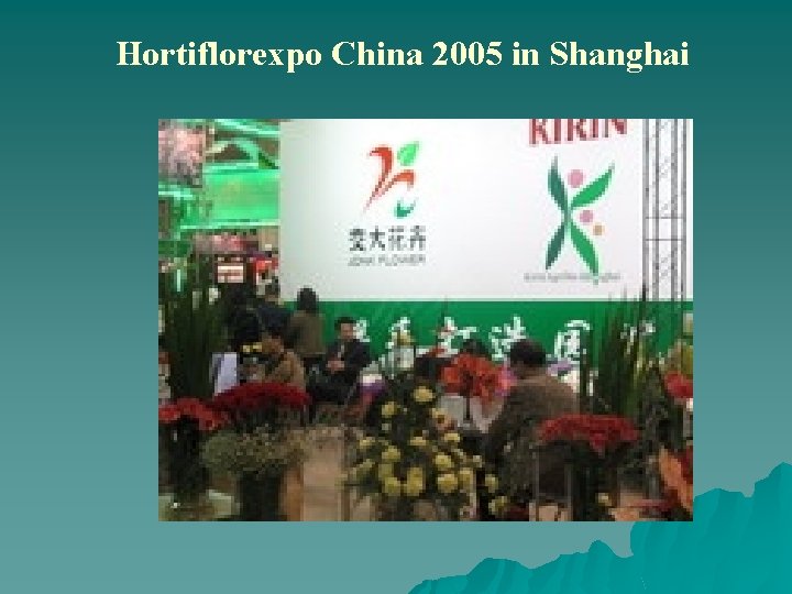 Hortiflorexpo China 2005 in Shanghai 