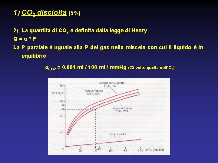 1) CO 2 disciolta (5%) 2) La quantità di CO 2 è definita dalla