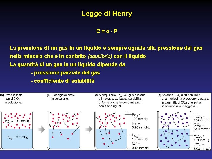 Legge di Henry C=α·P La pressione di un gas in un liquido è sempre