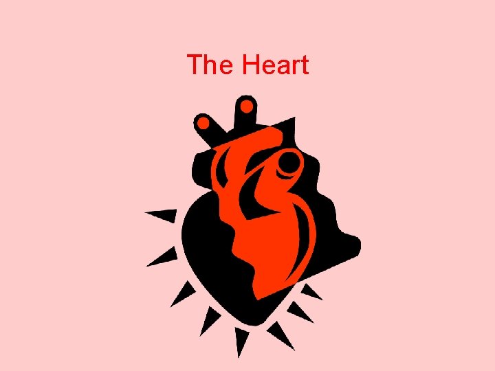 The Heart 