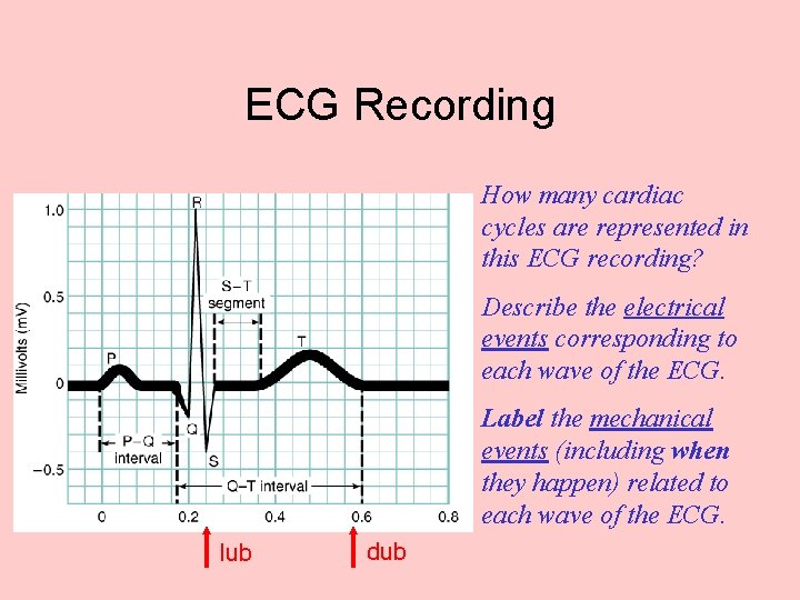 ECG Recording How many cardiac cycles are represented in this ECG recording? Describe the