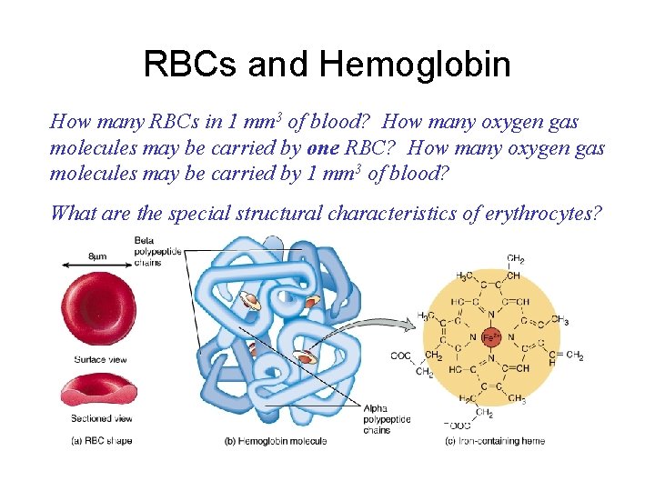 RBCs and Hemoglobin How many RBCs in 1 mm 3 of blood? How many