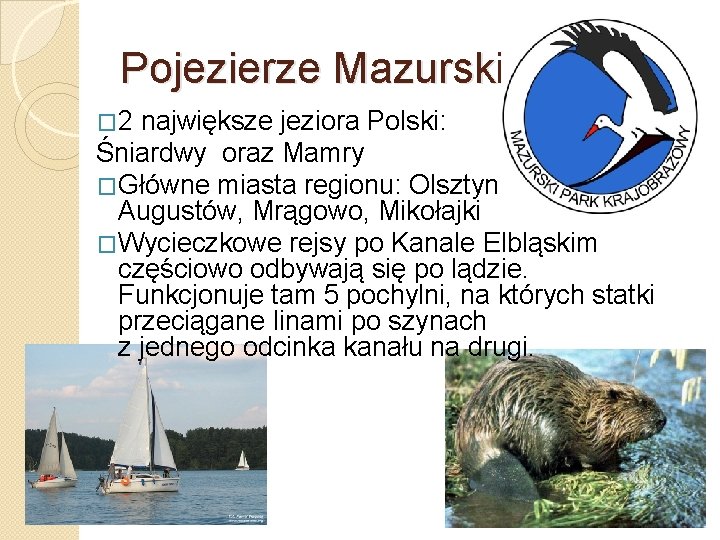 Pojezierze Mazurskie � 2 największe jeziora Polski: Śniardwy oraz Mamry �Główne miasta regionu: Olsztyn