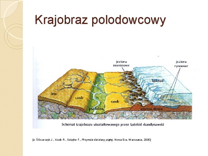 Krajobraz polodowcowy [z: Ślósarczyk J. , Kozik R. , Szlajfer F. , Przyroda dla