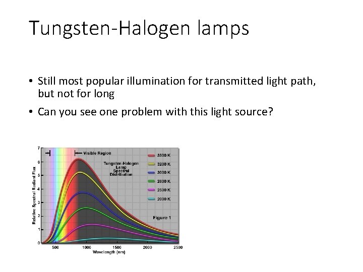 Tungsten-Halogen lamps • Still most popular illumination for transmitted light path, but not for Tungsten-Halogen lamps • Still most popular illumination for transmitted light path, but not for