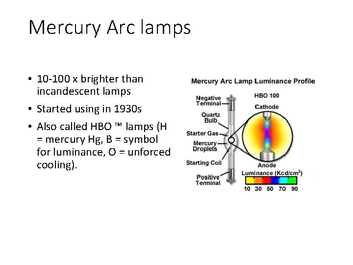 Mercury Arc lamps • 10 -100 x brighter than incandescent lamps • Started using Mercury Arc lamps • 10 -100 x brighter than incandescent lamps • Started using