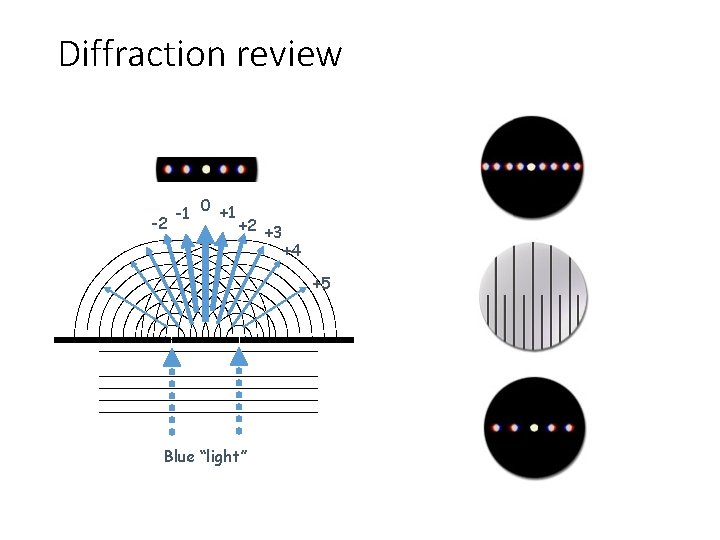 Diffraction review -2 -1 0 +1 +2 +3 +4 +5 Blue “light” Diffraction review -2 -1 0 +1 +2 +3 +4 +5 Blue “light”