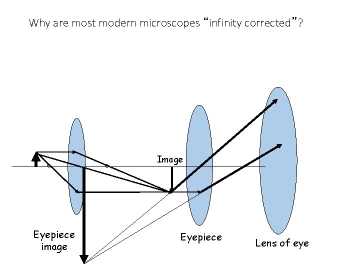 Why are most modern microscopes “infinity corrected”? Image Eyepiece image Eyepiece Lens of eye Why are most modern microscopes “infinity corrected”? Image Eyepiece image Eyepiece Lens of eye