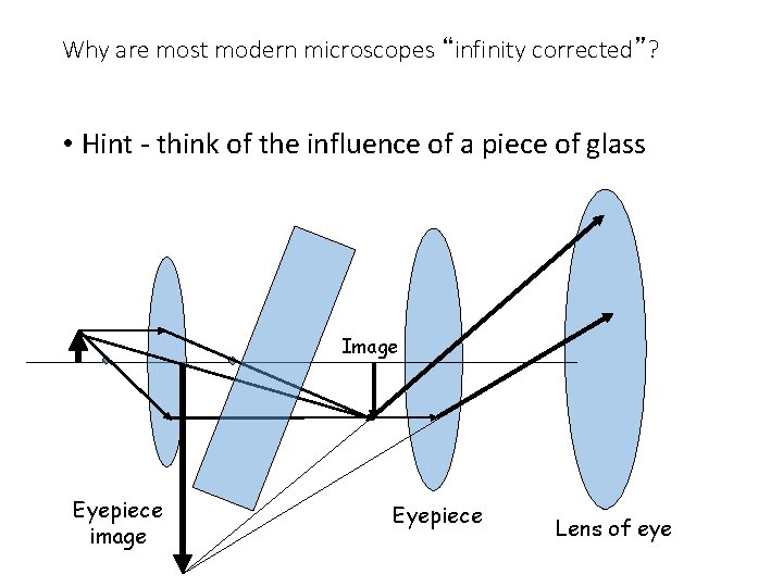 Why are most modern microscopes “infinity corrected”? • Hint - think of the influence Why are most modern microscopes “infinity corrected”? • Hint - think of the influence