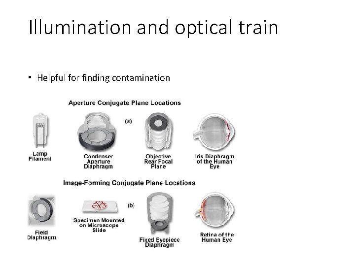 Illumination and optical train • Helpful for finding contamination Illumination and optical train • Helpful for finding contamination