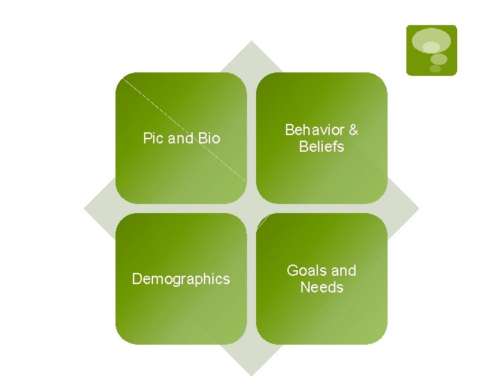 Pic and Bio Behavior & Beliefs Demographics Goals and Needs 