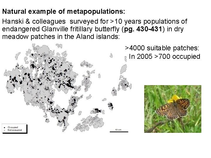 Natural example of metapopulations: Hanski & colleagues surveyed for >10 years populations of endangered