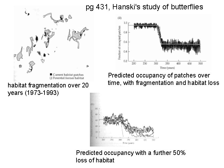 pg 431, Hanski's study of butterflies habitat fragmentation over 20 years (1973 -1993) Predicted