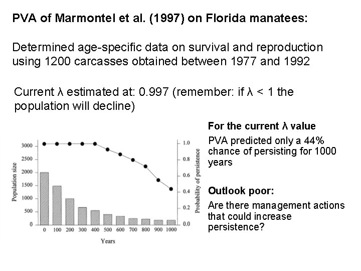 PVA of Marmontel et al. (1997) on Florida manatees: Determined age-specific data on survival