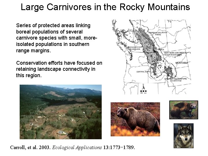 Large Carnivores in the Rocky Mountains Series of protected areas linking boreal populations of