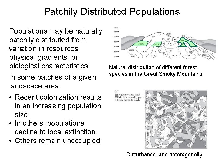 Patchily Distributed Populations may be naturally patchily distributed from variation in resources, physical gradients,