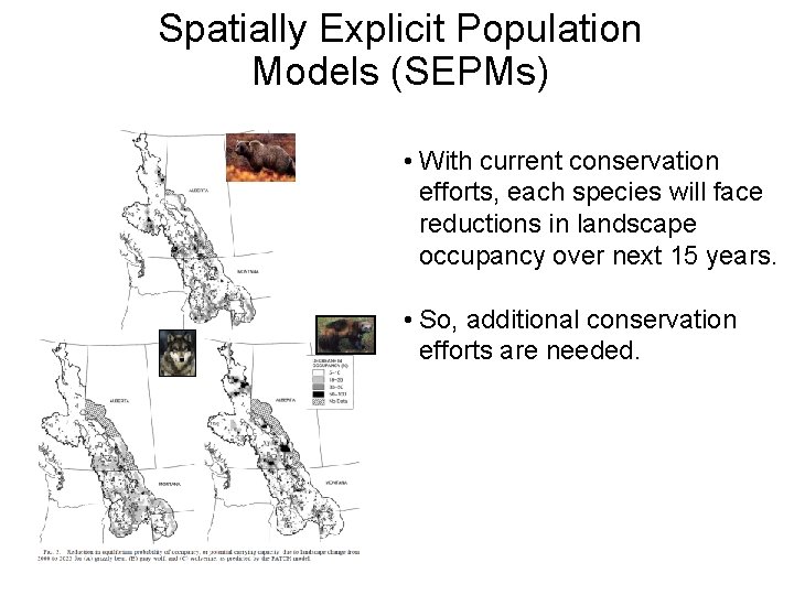 Spatially Explicit Population Models (SEPMs) • With current conservation efforts, each species will face